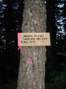 7.25.06 Larch Mountain 023 